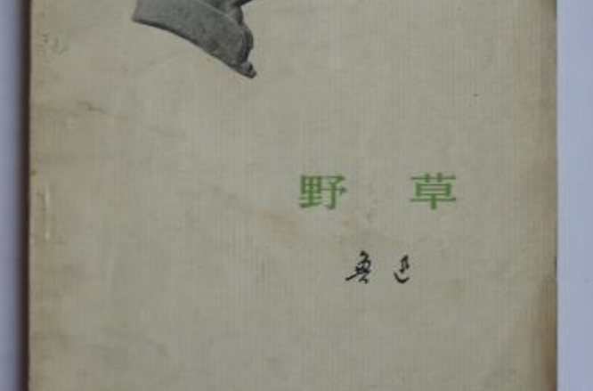 野草(北京當代芭蕾舞團現代舞作品)