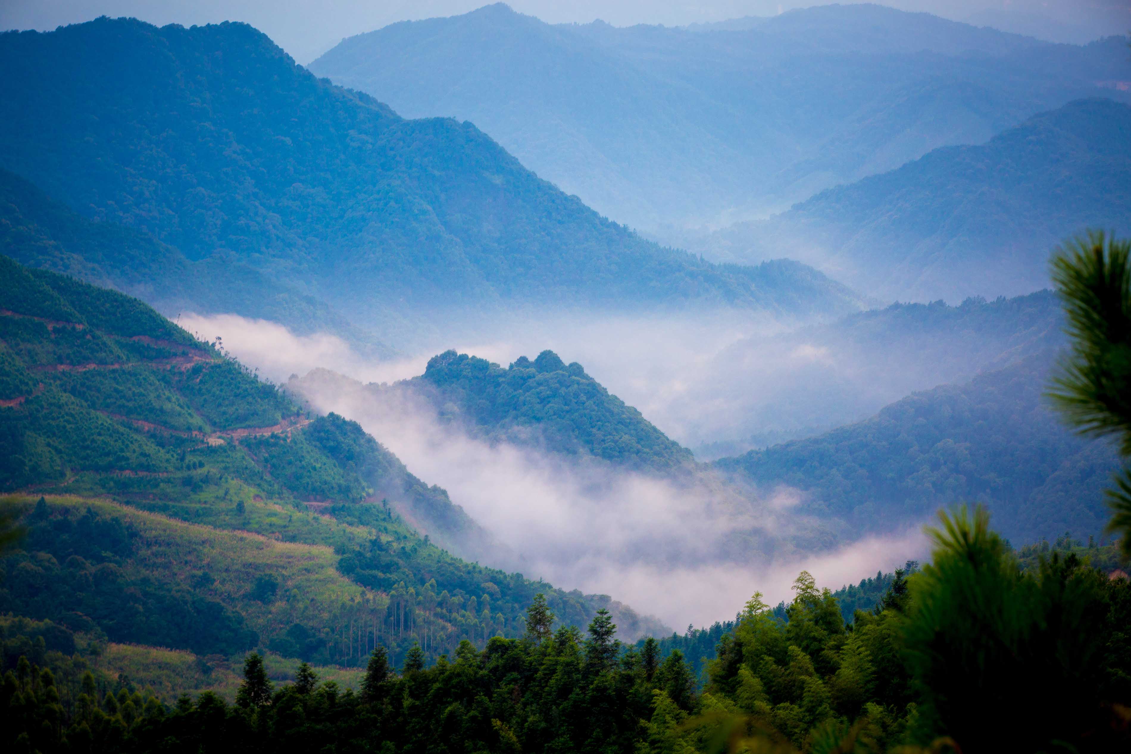 仁山寨