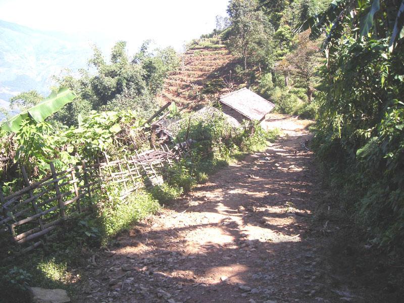 麻洋村(雲南省鎮沅縣和平鄉麻洋村)