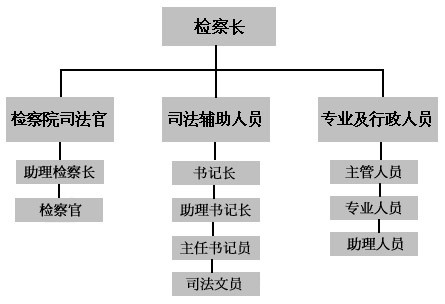 人員組成示意圖