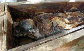 內蒙古吐爾基遼代墓葬彩繪漆棺開棺。