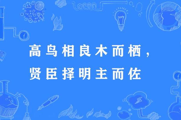 高鳥相良木而棲，賢臣擇明主而佐