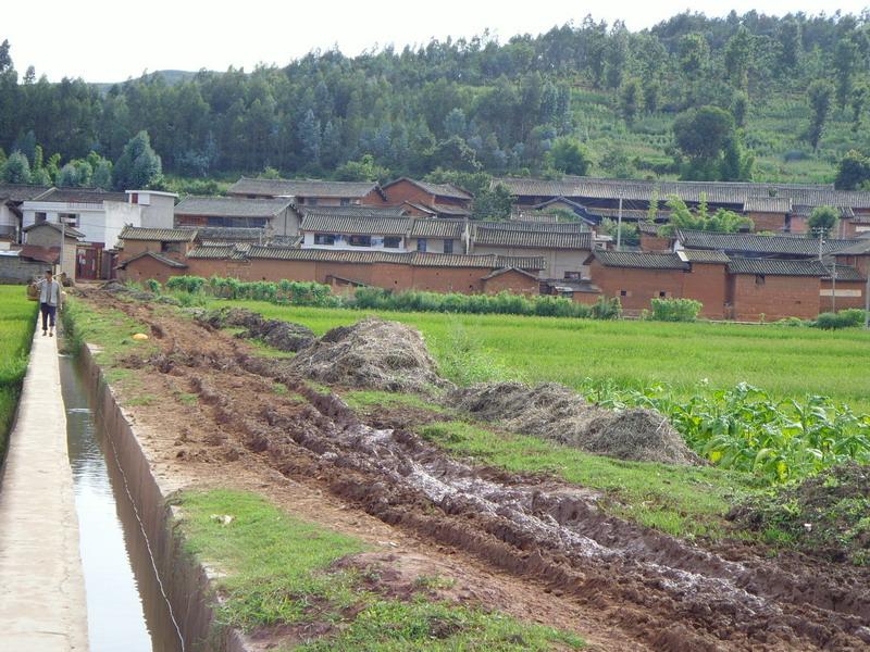 麥子屯村