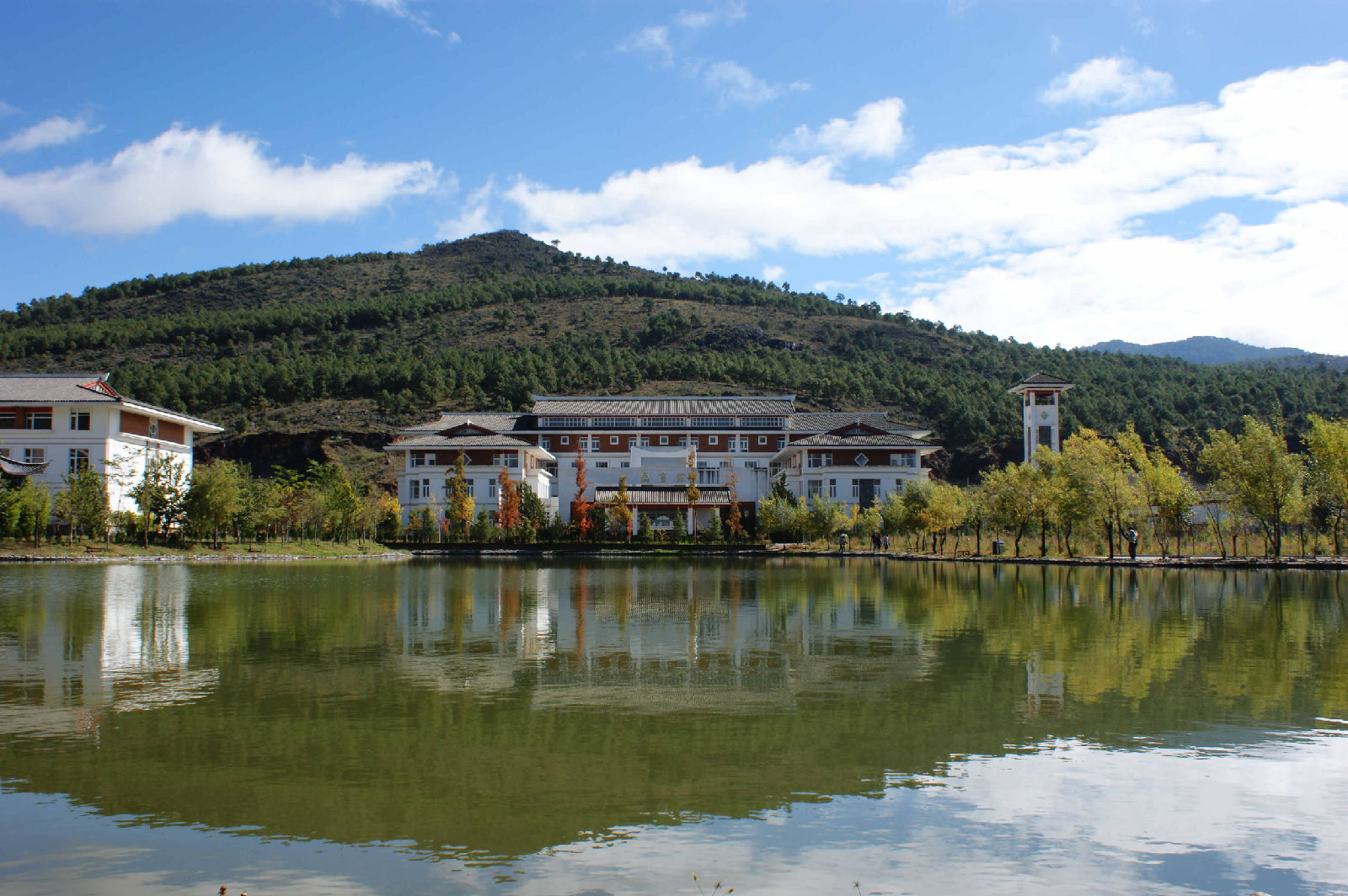 雲南大學旅遊文化學院