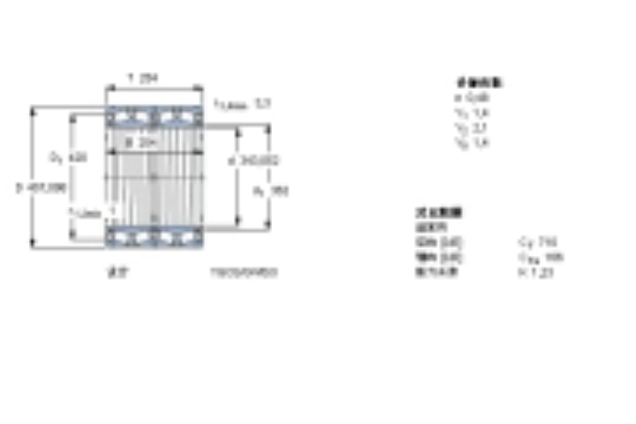 SKF BT4B328817G/HA1VA902軸承