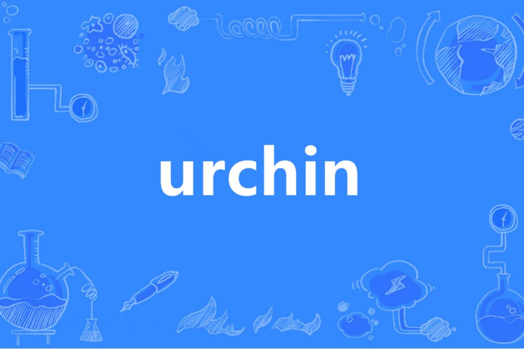 urchin(英語單詞)