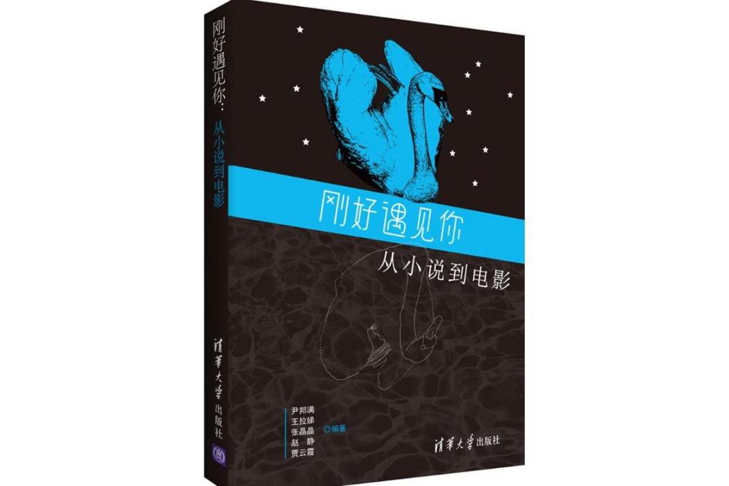 剛好遇見你(2017年清華大學出版社出版的圖書)