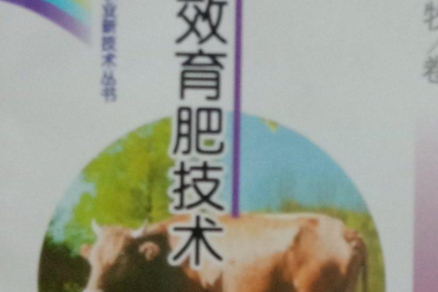 肉牛高效育肥技術