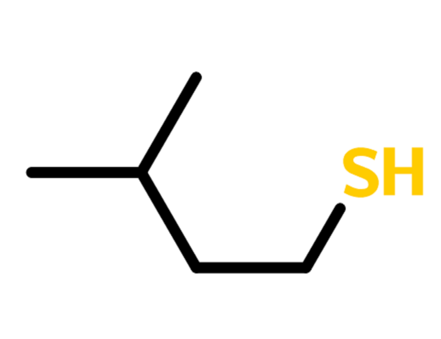 異戊硫醇