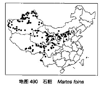 石貂在中國的分布