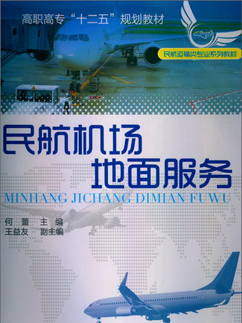 民航機場地面服務(2013年化學工業出版社出版的圖書)