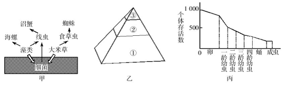 2012教師招聘考試專用教材-歷年真題彙編及全真模擬試卷中學生物