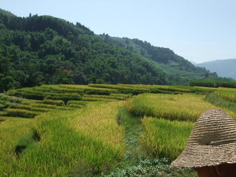 下芒弄自然村