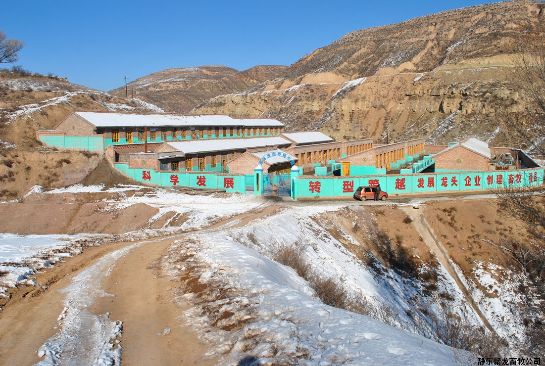 位於青龍溝的畜牧養殖場基地