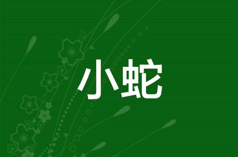 小蛇(玄幻小說)