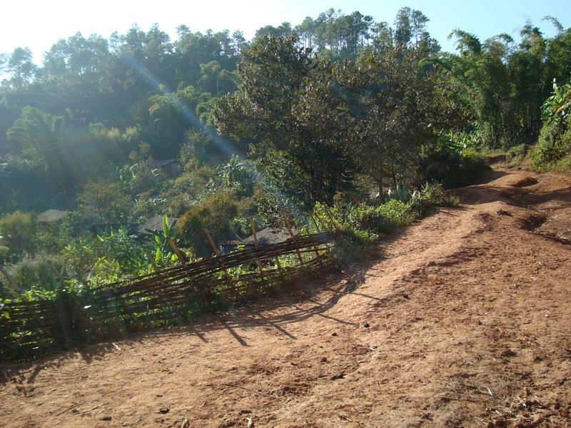 進村道路