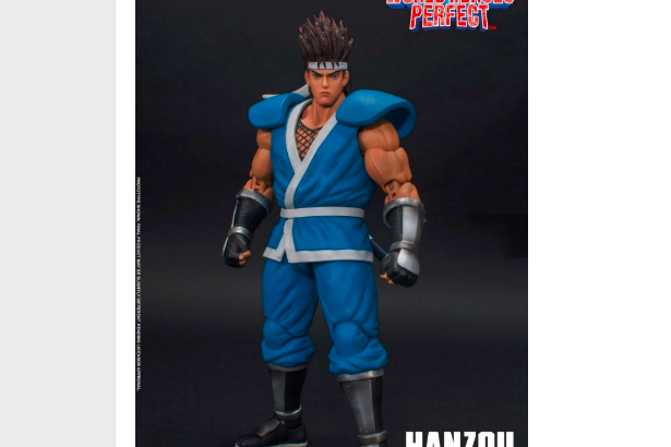 Storm Toys《世界英雄完美版》Hanzou Hattori 服部半藏 1:12可動人偶