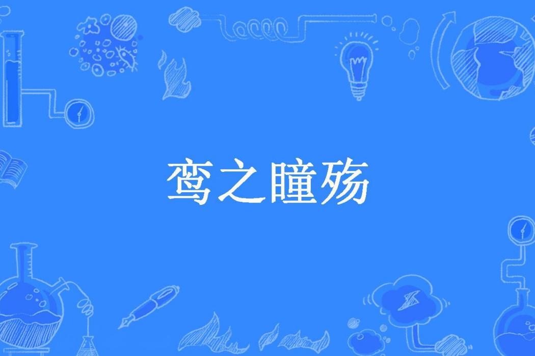 鸞之瞳殤(沒有所著小說)