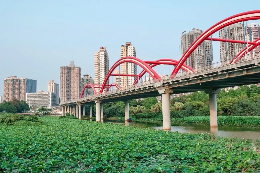 芙蓉大橋(中國廣東省深圳市境內的橋樑)