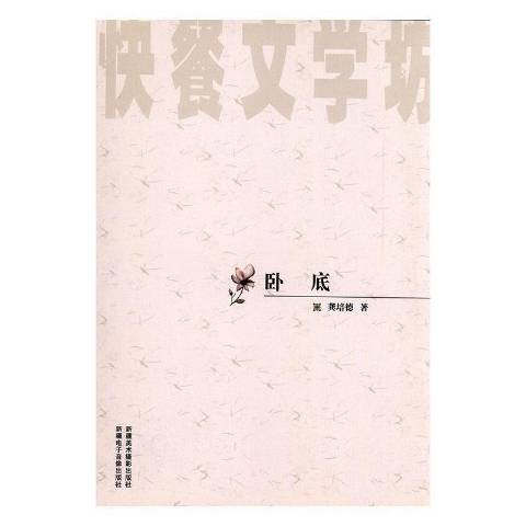 臥底(2009年新疆美術攝影出版社出版的圖書)