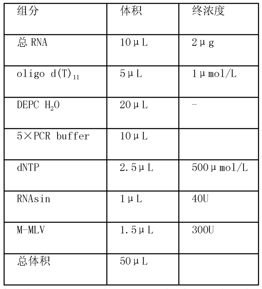 與豬免疫性狀相關的蛋白及其編碼基因和套用