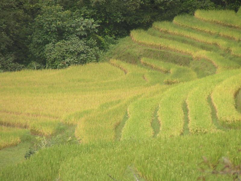 扎底簸自然村