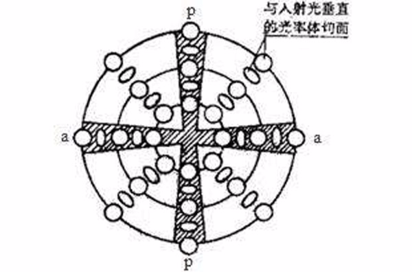 黑十字消光圖案