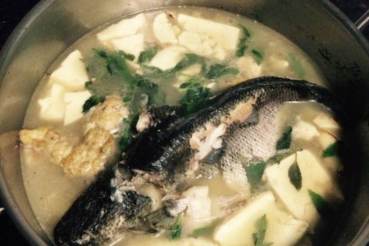 生魚豆腐湯