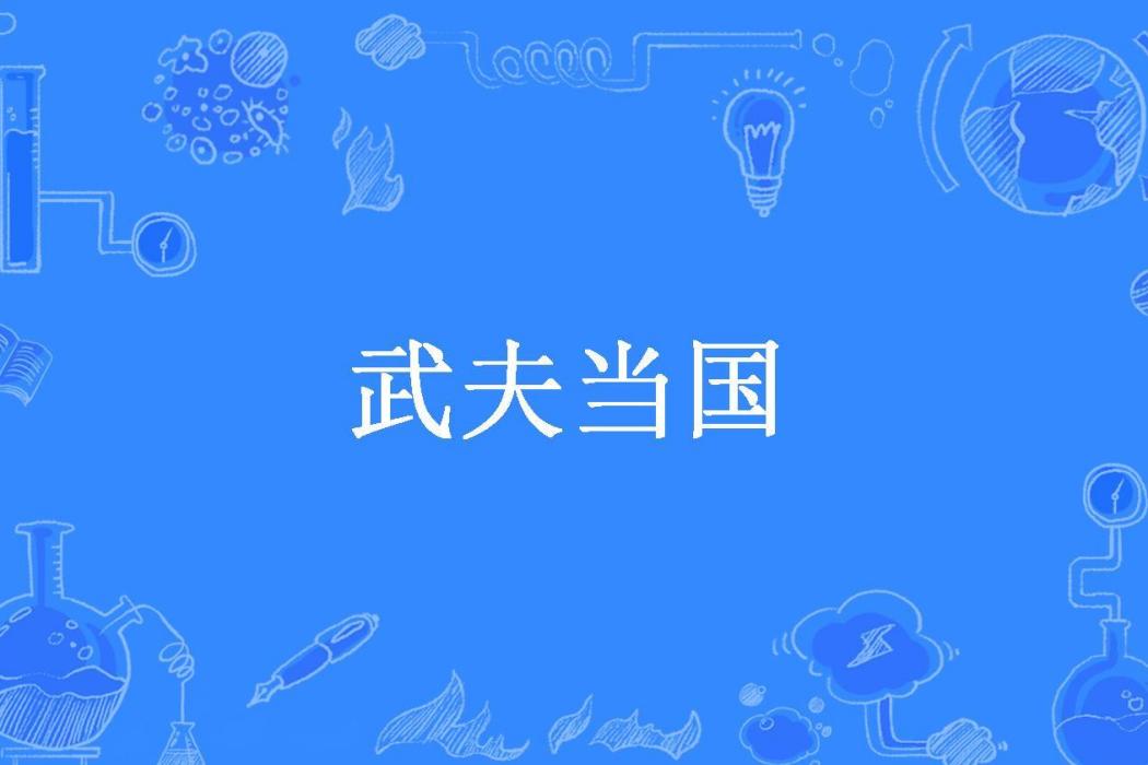 武夫當國(脈搏奔流所著小說)