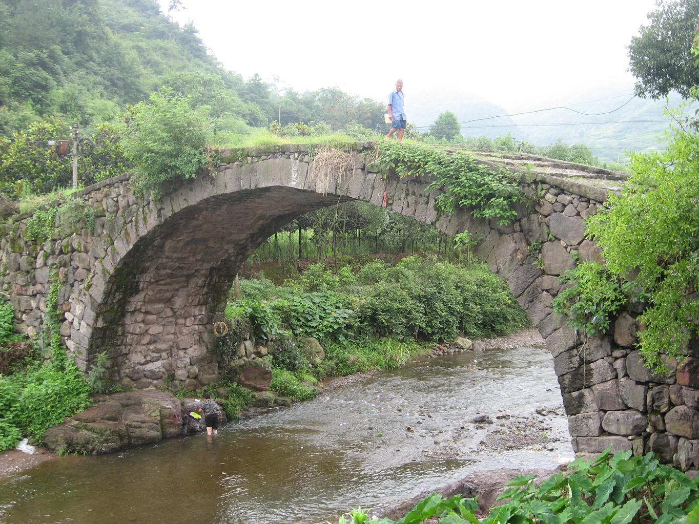 桃源村(浙江省紹興市新昌縣南明街道下轄村)