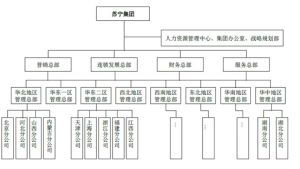 蘇寧電商架構