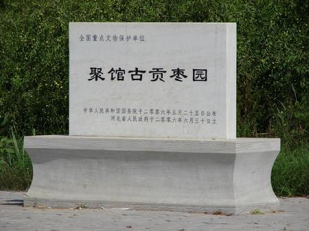 全國重點文物保護單位-聚館古貢棗園