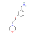 [3-（2-嗎啉乙氧基）苯基]甲胺
