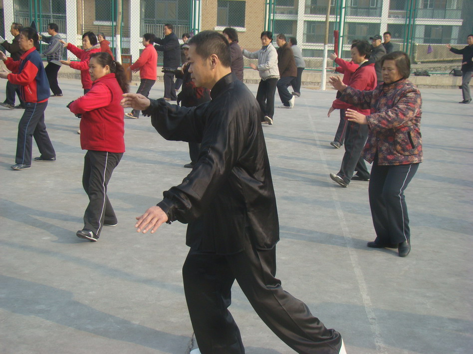 楊氏太極拳49式