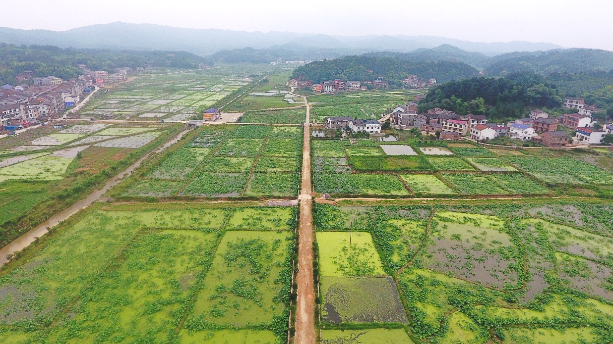 白蓮村(湖北省孝昌縣花園鎮下轄)