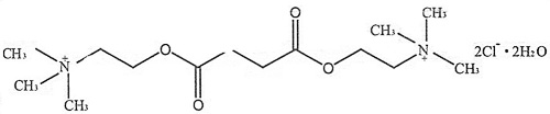 氯化琥珀膽鹼注射液