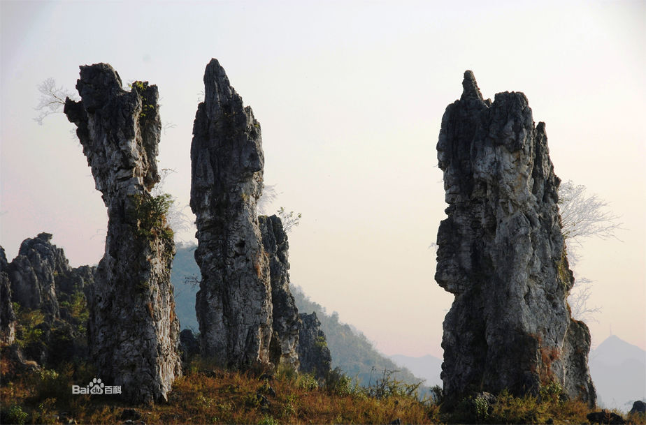 竹林堡石林