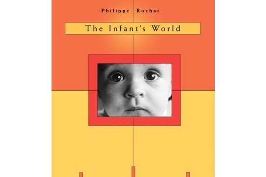 The Infant\x27s World (The Developing Child)