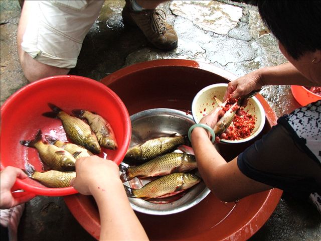 武夷山稻花魚