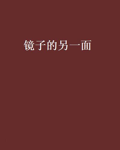 鏡子的另一面(小說)