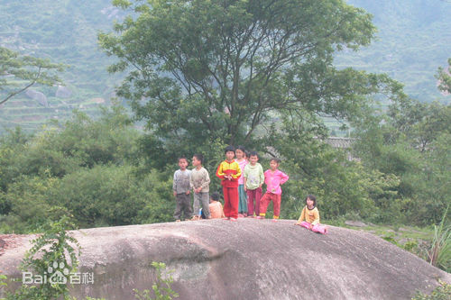 聯桂村(廣西南寧市武鳴縣太平鎮下轄村)