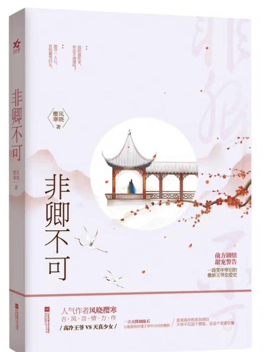 非卿不可(作家風曉櫻寒所著小說)