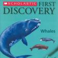 First Discovery Whales