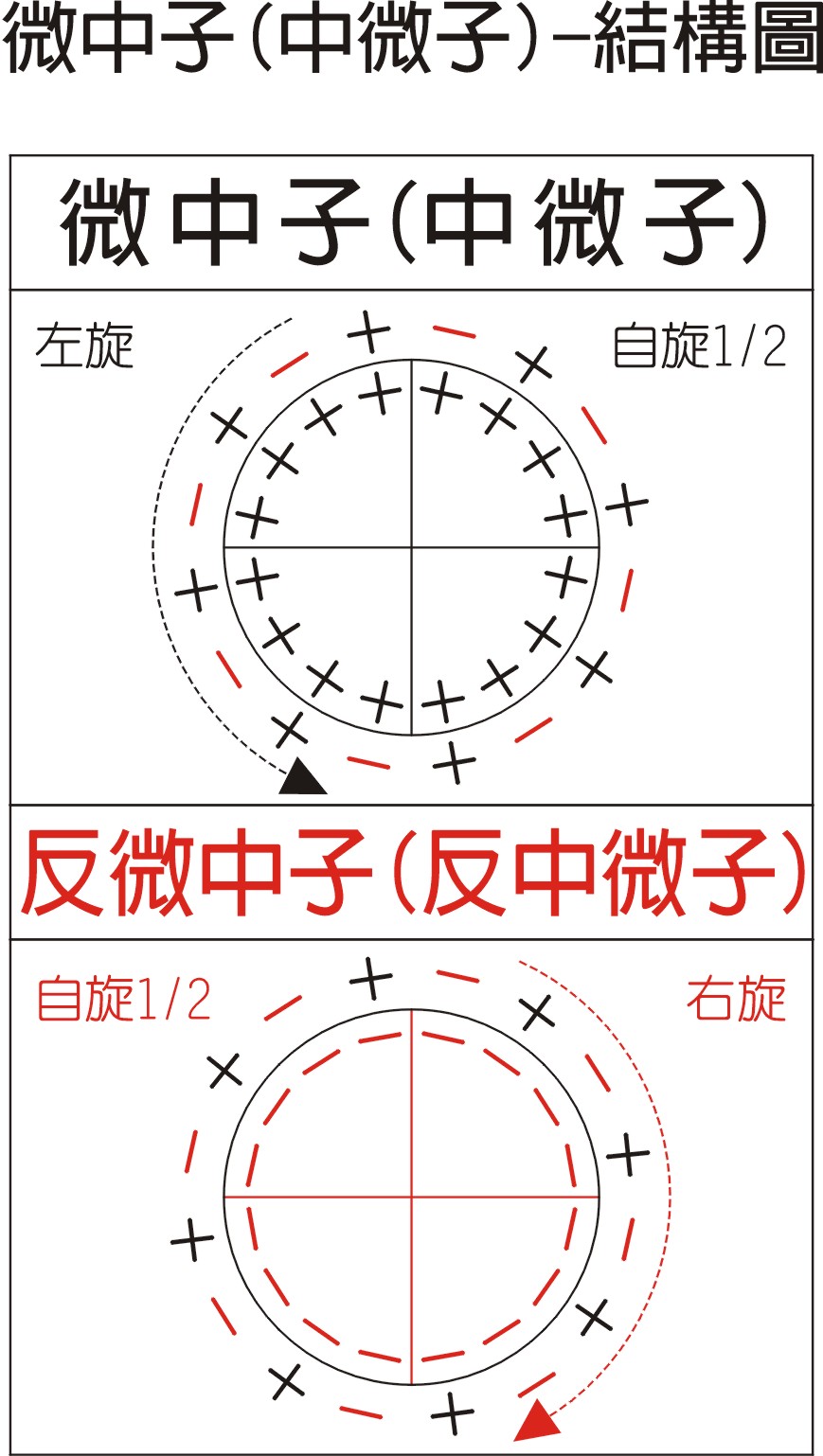 微中子-內部結構模型圖