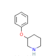 3-苯氧基哌啶