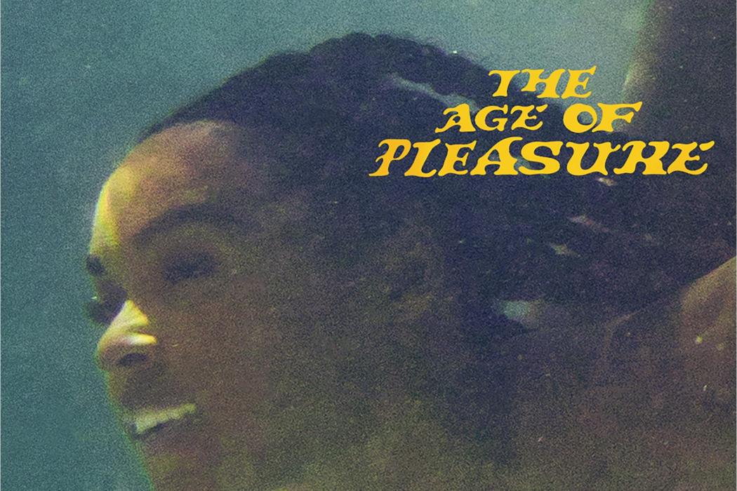 The Age Of Pleasure