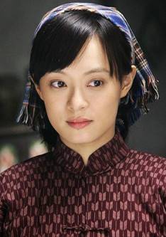 小姨多鶴(2009年孫儷、姜武等主演的年代劇)