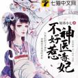 神醫毒妃不好惹(姑蘇小七創作的小說作品)