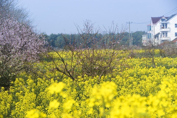 雙堰塘村(四川省內江市資中縣球溪鎮雙堰塘村)