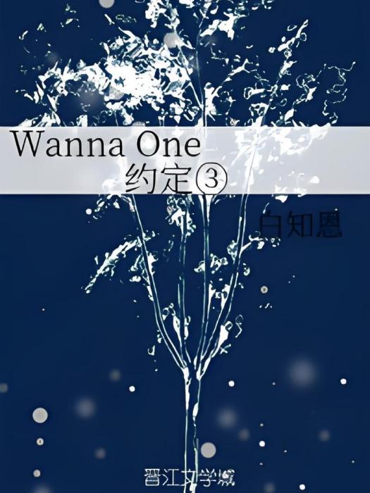 Wanna One 約定③